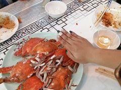-雅逸居海鲜小厨