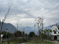 -石台牯牛降景区