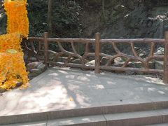 -上海佘山国家森林公园天马山园