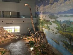 -自贡恐龙博物馆