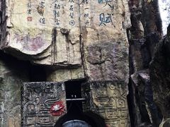 -铁山坪森林公园