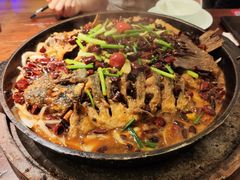 -老板恋上鱼(荣盛广场店)