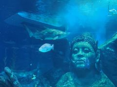 -暹罗海洋世界