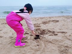 -南戴河国际娱乐中心