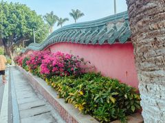 -仙岳公园
