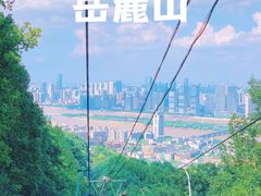 -岳麓山风景名胜区