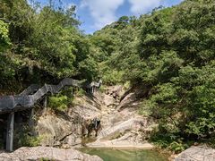 -广州白江湖森林公园