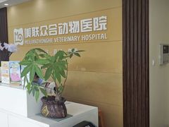 -德元·美联众合24小时动物医院(总院)