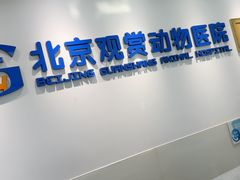 -北京观赏动物医院·24小时大型综合·猫专科·异宠专科
