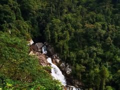 -海南热带雨林国家公园吊罗山景区