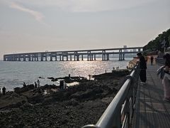 -星海湾跨海大桥