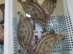 -金沙滩海鲜餐厅·海肠捞饭·手工水饺·无预制菜(梅江龙水园店)
