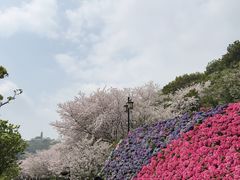 -苏州上方山国家森林公园
