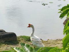 -中山喜来登酒店
