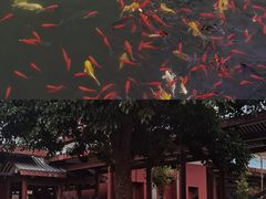-莆田南少林寺