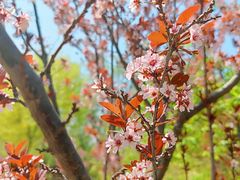 -野鸭湖国家湿地公园