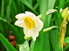 -共青国家森林公园-售票处