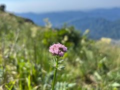 -白草畔自然风景区