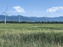 -野鸭湖国家湿地公园