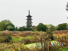 -太阳岛度假酒店