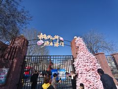 -桃花堤公园