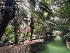 -呀路古热带植物园
