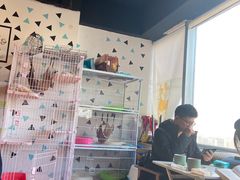 -Cappucimeow猫咪咖啡馆(韦伯时代店)