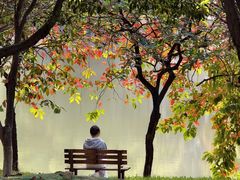 -华南师范大学(广州大学城校区)