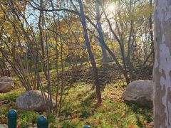 -西安市长乐公园