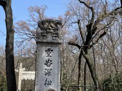 -灵谷景区