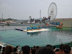 -秦皇岛乐岛海洋王国