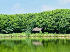 -广富林郊野公园