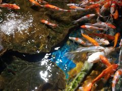 -太平洋海底世界