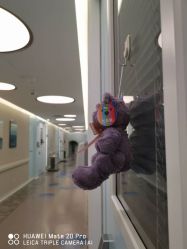 -杭州贝瑞斯美华妇儿医院·早孕·产检·儿科