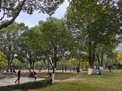 -重庆彩云湖湿地公园
