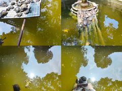 -西安大兴善寺