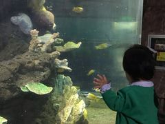 -上海海昌海洋公园-停车场
