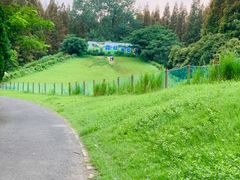 -崇明东平国家森林公园烧烤房车露营地