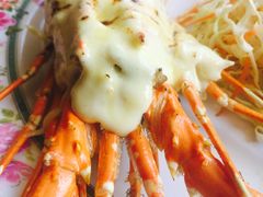 -Red Lobster
