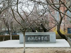-桃花堤公园