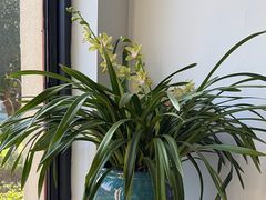 -荷风细雨·中国茶宴(碧云店)