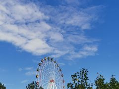 -田野绿世界