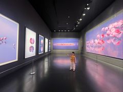 -罗红摄影艺术馆