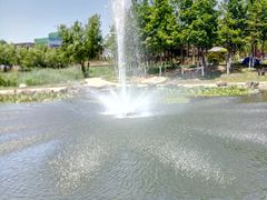 -前关湿地公园