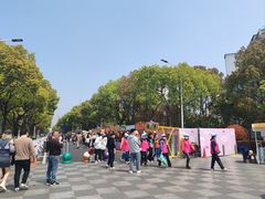 -高东镇樱花园