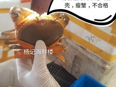 -杨记海鲜楼(三门黑金冠店)