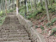 -莫干山风景区