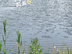 -野鸭湖国家湿地公园