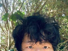 -鹅銮鼻公园
