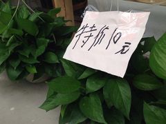 -龙大花卉苗木市场